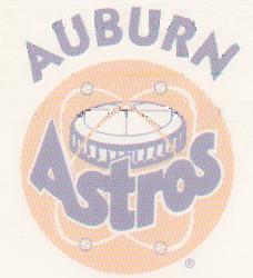 1983 - 1994 Auburn Astros logo