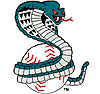 Kissimmee Cobras