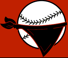 Quad City River Bandits logo