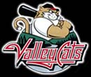 Tri City ValleyCats logo